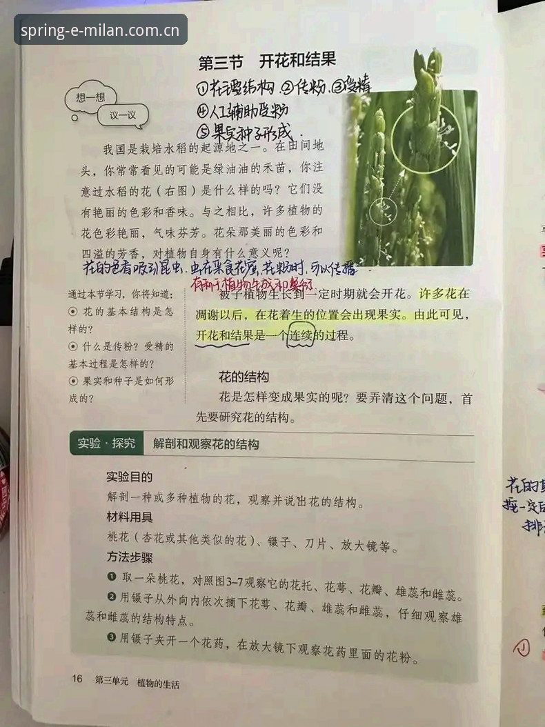 春夏版2025最新款常见问题 春夏版2025最新款常见问题的5个核心解答——一个老用户的真实使用笔记